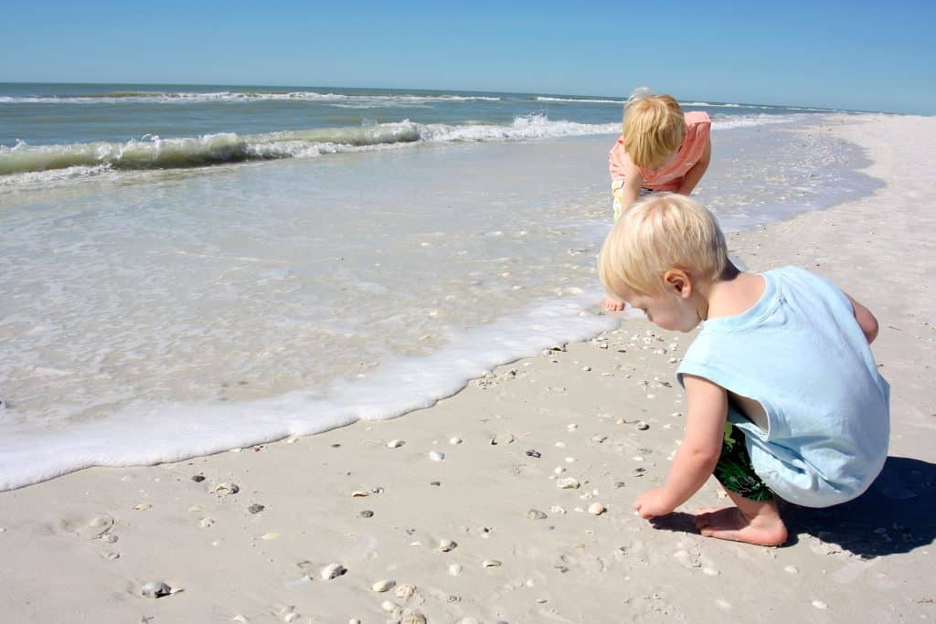 two young children, a boy and his baby brother are on the beach by the ocean shore, picking up seashells